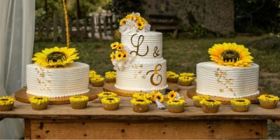 Miniature de l'article 'Quel gâteau proposer à son mariage ?' - Votre gâteau de mariage sera l'un des moments les plus photo...