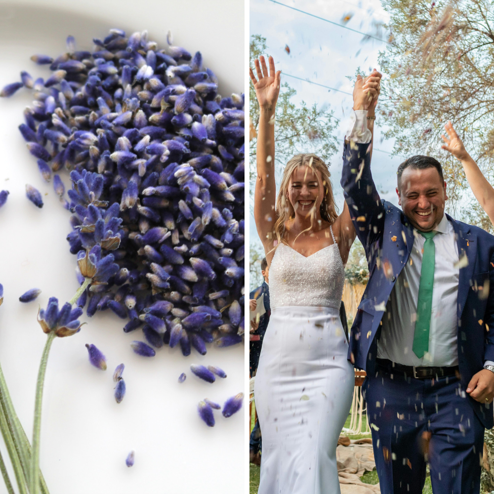 animations-sortie-maries (3)