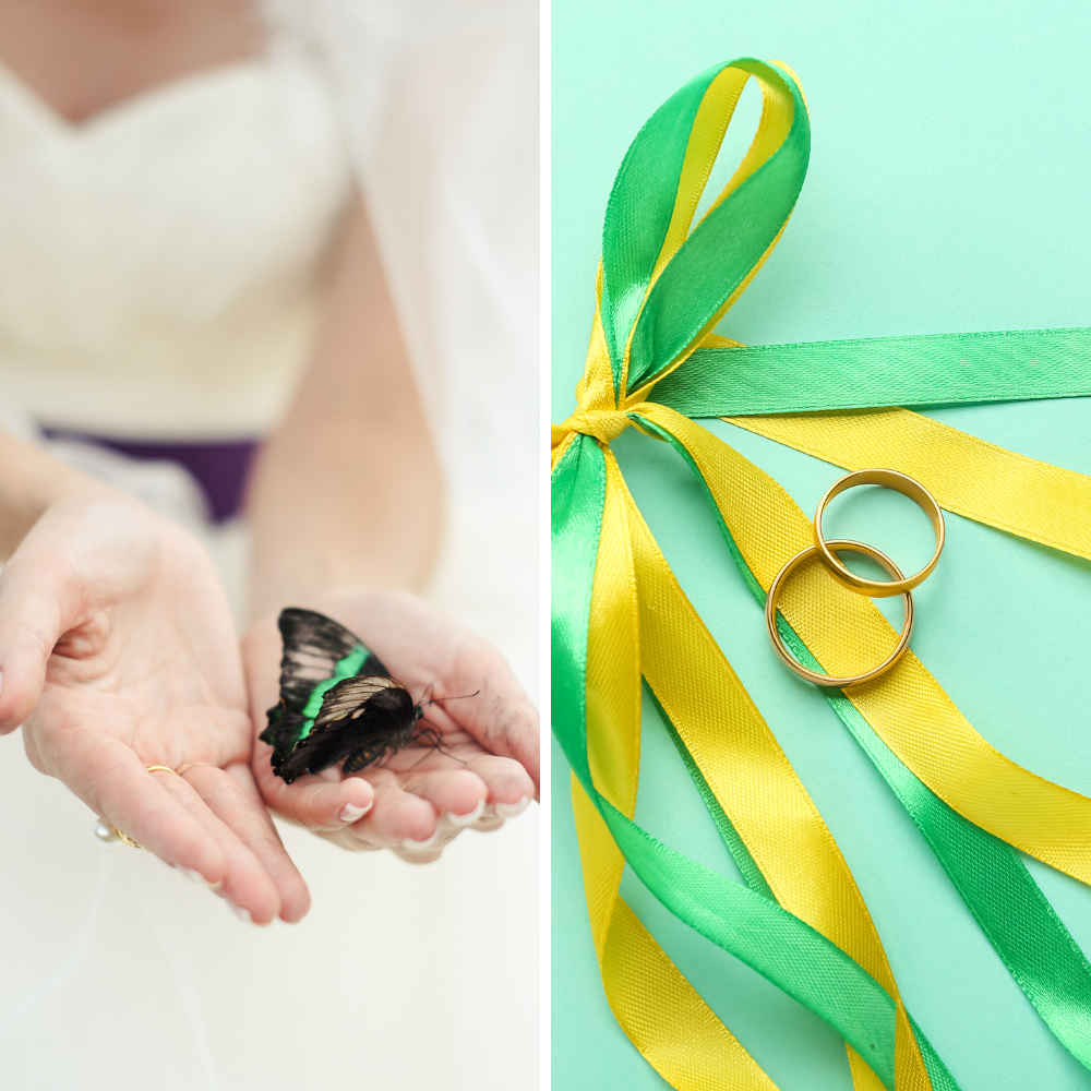 animations-sortie-maries (4)