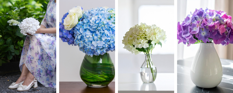 fleurs-mariage-signification (5)